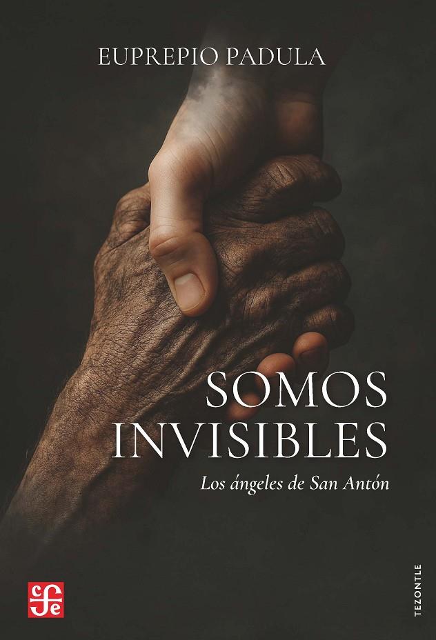 SOMOS INVISIBLES LOS ÁNGELES DE SAN ANTÓN | 9788437508542 | PADULA, EUPREPIO | Galatea Llibres | Llibreria online de Reus, Tarragona | Comprar llibres en català i castellà online