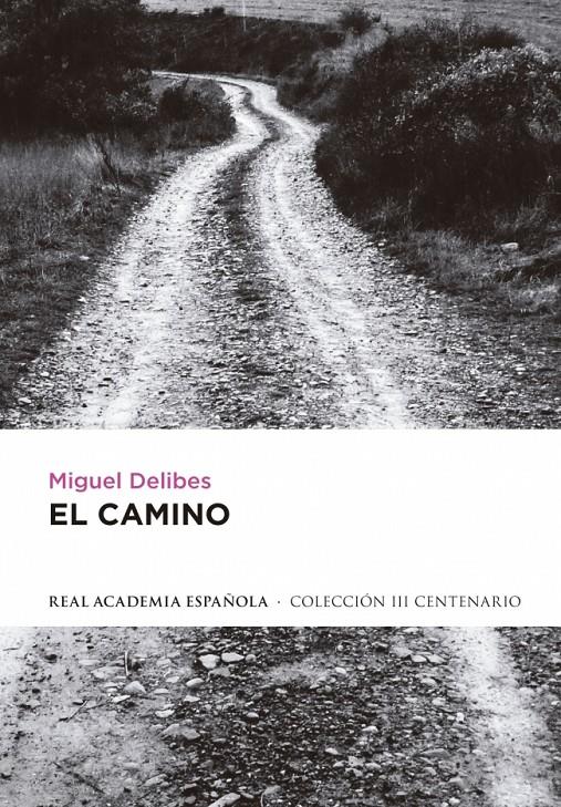 EL CAMINO | 9788420406725 | DELIBES, MIGUEL | Galatea Llibres | Llibreria online de Reus, Tarragona | Comprar llibres en català i castellà online