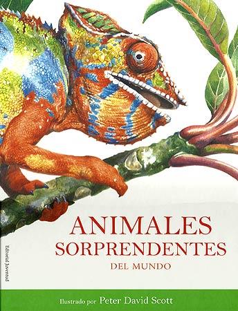 ANIMALES SORPRENDENTES DEL MUNDO | 9788426138705 | DAVID SCOTT, PETER | Galatea Llibres | Llibreria online de Reus, Tarragona | Comprar llibres en català i castellà online