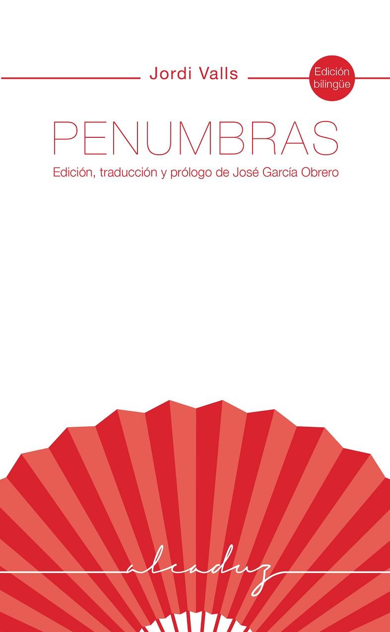 PENUMBRAS | 9788412068436 | VALLS POZO, JORDI | Galatea Llibres | Llibreria online de Reus, Tarragona | Comprar llibres en català i castellà online