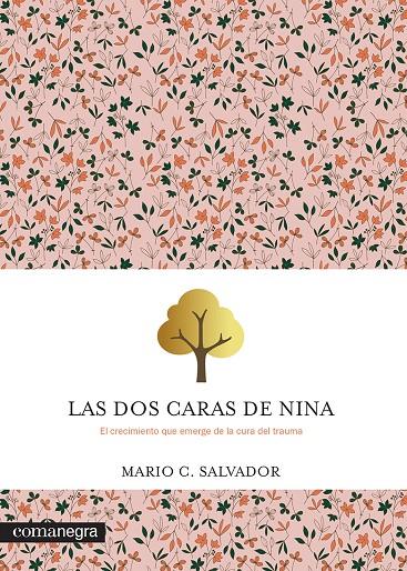 LAS DOS CARAS DE NINA | 9788419590992 | SALVADOR, MARIO C. | Galatea Llibres | Llibreria online de Reus, Tarragona | Comprar llibres en català i castellà online