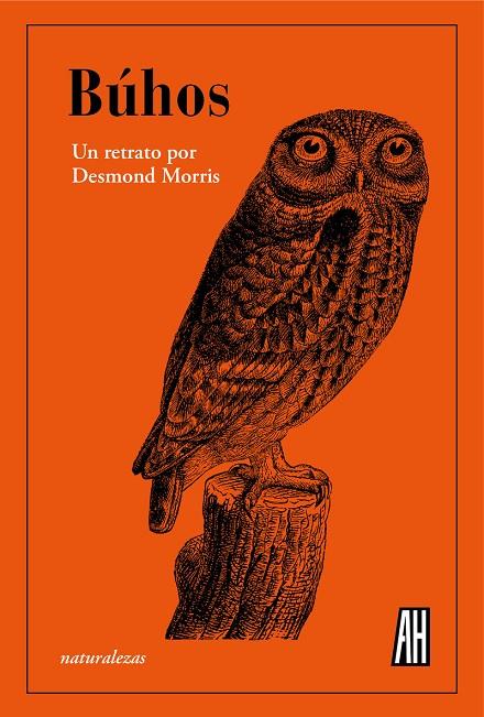 BÚHOS | 9788412403381 | MORRIS, DESMOND | Galatea Llibres | Llibreria online de Reus, Tarragona | Comprar llibres en català i castellà online