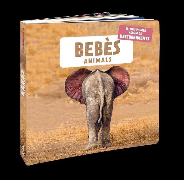 BEBÈS ANIMALS | 9788418762109 | Galatea Llibres | Llibreria online de Reus, Tarragona | Comprar llibres en català i castellà online