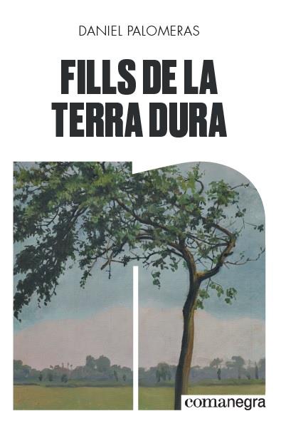 FILLS DE LA TERRA DURA | 9788418022296 | PALOMERAS, DANIEL | Galatea Llibres | Llibreria online de Reus, Tarragona | Comprar llibres en català i castellà online