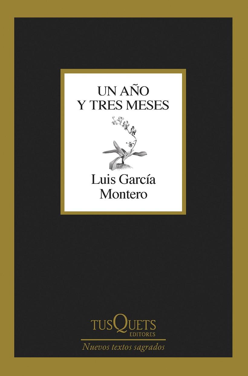 UN AÑO Y TRES MESES | 9788411071475 | GARCÍA MONTERO, LUIS | Galatea Llibres | Llibreria online de Reus, Tarragona | Comprar llibres en català i castellà online