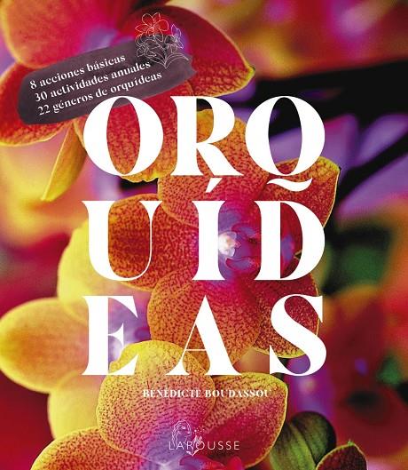 ORQUÍDEAS | 9788418882470 | BOUDASSOU, BÉNÉDICTE | Galatea Llibres | Llibreria online de Reus, Tarragona | Comprar llibres en català i castellà online