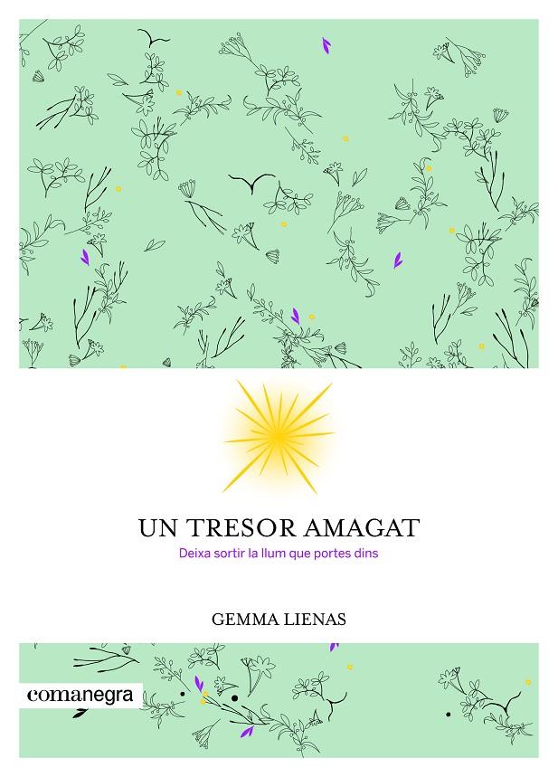 UN TRESOR AMAGAT | 9788416605347 | LIENAS, GEMMA | Galatea Llibres | Llibreria online de Reus, Tarragona | Comprar llibres en català i castellà online