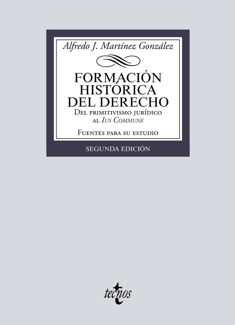 FORMACIÓN HISTÓRICA DEL DERECHO | 9788430983759 | MARTÍNEZ GONZÁLEZ, ALFREDO JOSÉ | Galatea Llibres | Llibreria online de Reus, Tarragona | Comprar llibres en català i castellà online