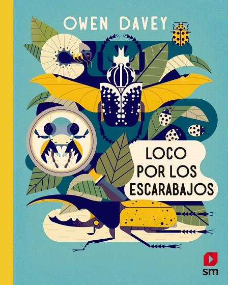 LOCO POR LOS ESCARABAJOS | 9788491820635 | DAVEY, OWEN | Galatea Llibres | Llibreria online de Reus, Tarragona | Comprar llibres en català i castellà online