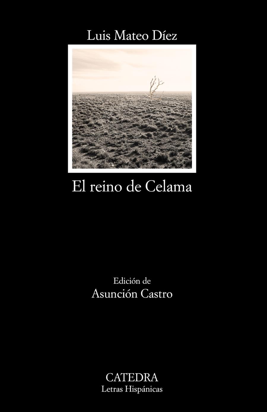 EL REINO DE CELAMA | 9788437634791 | MATEO DÍEZ, LUIS | Galatea Llibres | Llibreria online de Reus, Tarragona | Comprar llibres en català i castellà online