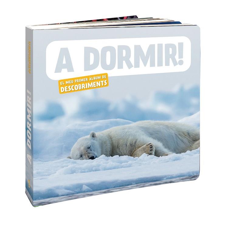 A DORMIR! | 9788418762697 | NATURAGENCY | Galatea Llibres | Llibreria online de Reus, Tarragona | Comprar llibres en català i castellà online