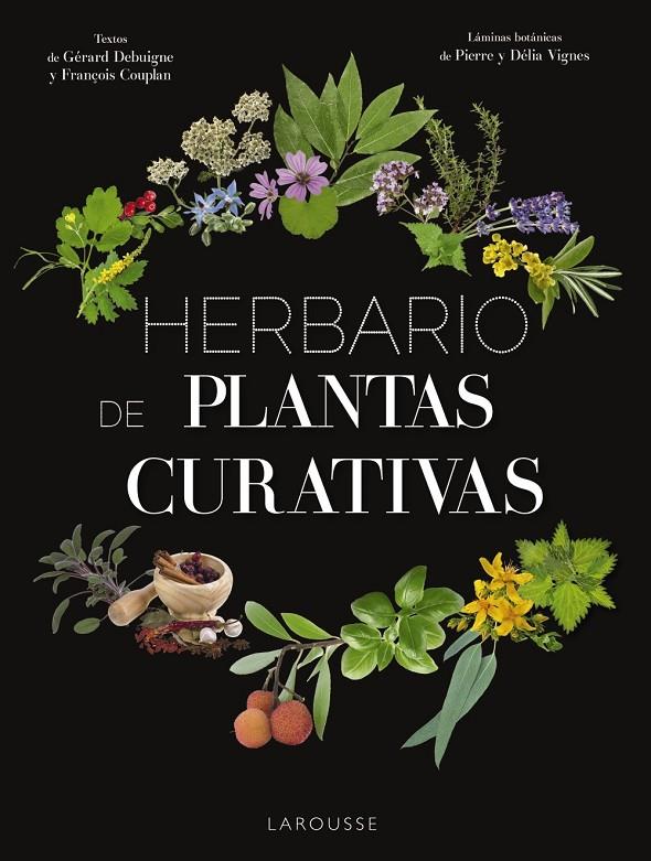 HERBARIO DE PLANTAS CURATIVAS | 9788417273415 | Galatea Llibres | Llibreria online de Reus, Tarragona | Comprar llibres en català i castellà online