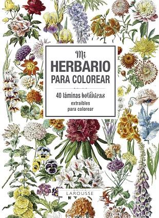 MI HERBARIO PARA COLOREAR | 9788416984749 | LAROUSSE EDITORIAL | Galatea Llibres | Llibreria online de Reus, Tarragona | Comprar llibres en català i castellà online