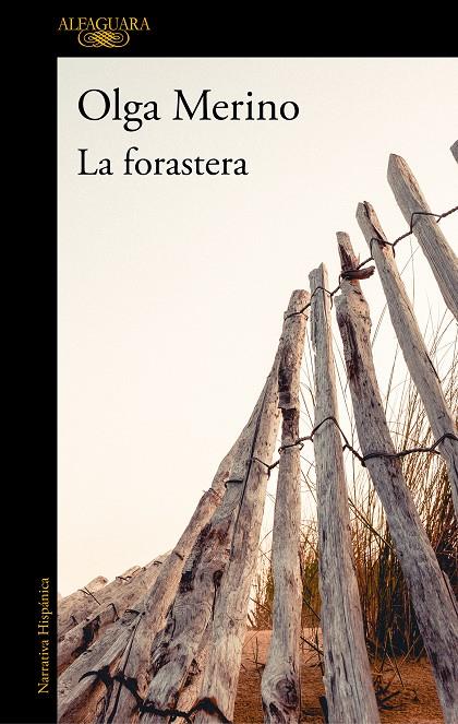 FORASTERA, LA | 9788420438450 | MERINO LOPEZ, OLGA | Galatea Llibres | Llibreria online de Reus, Tarragona | Comprar llibres en català i castellà online
