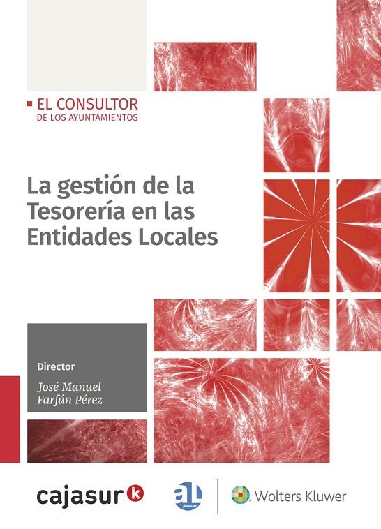 LA GESTIÓN DE LA TESORERÍA EN LAS ENTIDADES LOCALES | 9788470526640 | FERNÁNDEZ AGÜERO, EMILIO/GONZÁLEZ CARRILLO, JESÚS/MORENO SERRANO, BEATRIZ/MOTA SÁNCHEZ, MARÍA DEL MA | Galatea Llibres | Llibreria online de Reus, Tarragona | Comprar llibres en català i castellà online