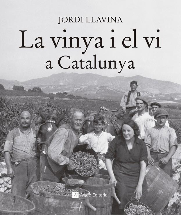 LA VINYA I EL VI A CATALUNYA | 9788416139187 | LLAVINA, JORDI | Galatea Llibres | Llibreria online de Reus, Tarragona | Comprar llibres en català i castellà online