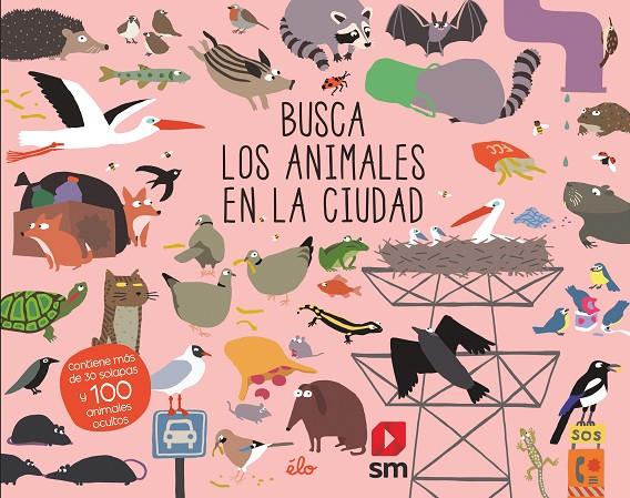 BUSCA LOS ANIMALES EN LA CIUDAD | 9788491829621 | Galatea Llibres | Llibreria online de Reus, Tarragona | Comprar llibres en català i castellà online