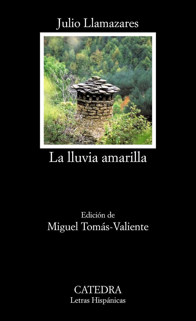 LA LLUVIA AMARILLA | 9788437635972 | LLAMAZARES, JULIO | Galatea Llibres | Llibreria online de Reus, Tarragona | Comprar llibres en català i castellà online