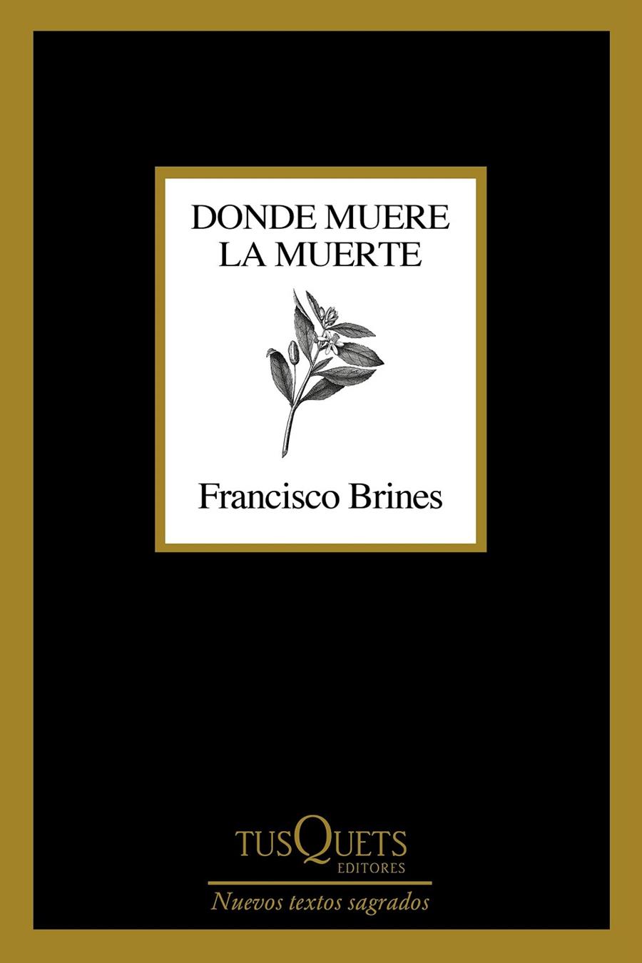 DONDE MUERE LA MUERTE | 9788411070188 | BRINES, FRANCISCO | Galatea Llibres | Llibreria online de Reus, Tarragona | Comprar llibres en català i castellà online