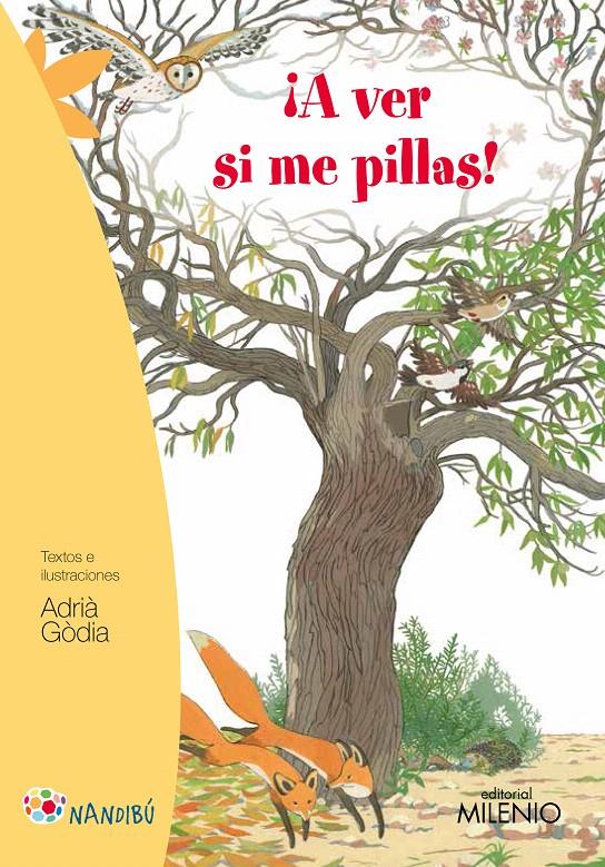 ¡A VER SI ME PILLAS! | 9788497437172 | GÒDIA MORAGUES, ADRIÀ | Galatea Llibres | Llibreria online de Reus, Tarragona | Comprar llibres en català i castellà online