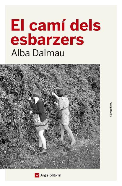 EL CAMÍ DELS ESBARZERS | 9788417214562 | DALMAU, ALBA | Galatea Llibres | Llibreria online de Reus, Tarragona | Comprar llibres en català i castellà online