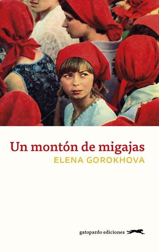 UN MONTÓN DE MIGAJAS | 9788417109738 | GOROKHOVA, ELENA | Galatea Llibres | Llibreria online de Reus, Tarragona | Comprar llibres en català i castellà online