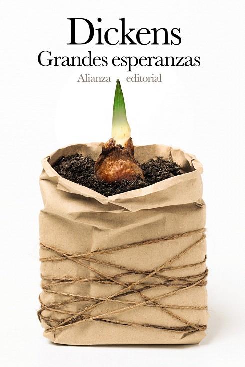 GRANDES ESPERANZAS | 9788411485937 | DICKENS, CHARLES | Galatea Llibres | Llibreria online de Reus, Tarragona | Comprar llibres en català i castellà online