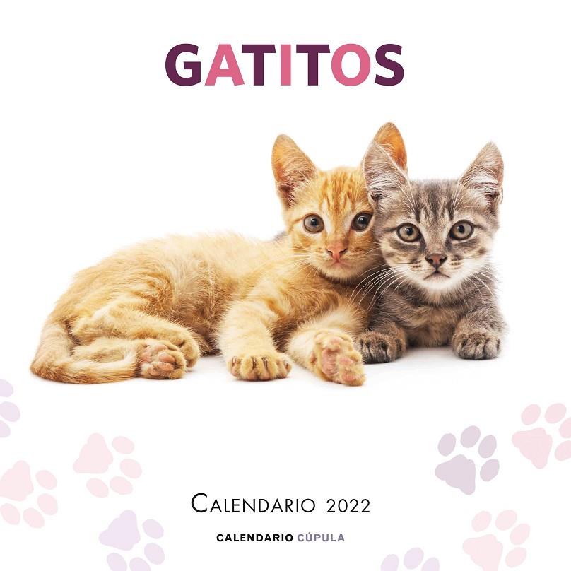 CALENDARIO GATITOS 2022 | 9788448028695 | AA. VV. | Galatea Llibres | Llibreria online de Reus, Tarragona | Comprar llibres en català i castellà online