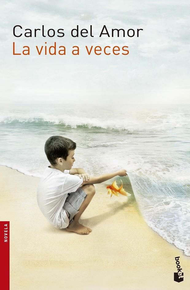 LA VIDA A VECES | 9788467042139 | DEL AMOR, CARLOS | Galatea Llibres | Llibreria online de Reus, Tarragona | Comprar llibres en català i castellà online
