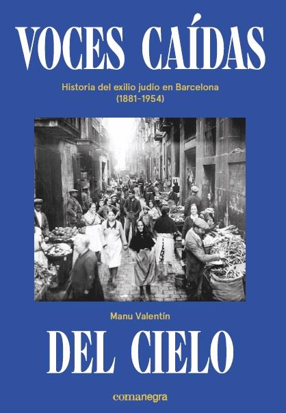 VOCES CAÍDAS DEL CIELO | 9788418022036 | VALENTÍN, MANU | Galatea Llibres | Llibreria online de Reus, Tarragona | Comprar llibres en català i castellà online
