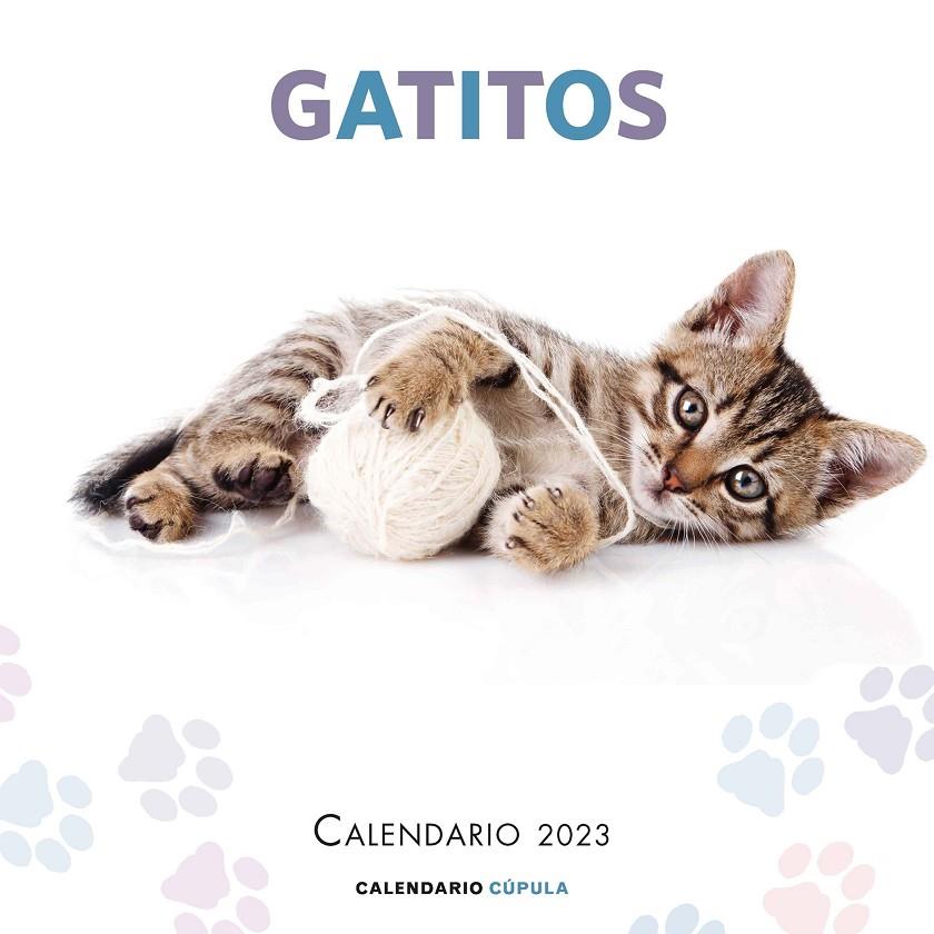 CALENDARIO GATITOS 2023 | 9788448029784 | Galatea Llibres | Llibreria online de Reus, Tarragona | Comprar llibres en català i castellà online