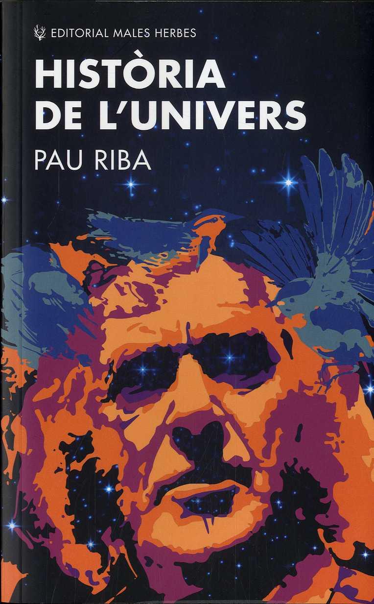 HISTÒRIA DE L'UNIVERS | 9788412216776 | RIBA, PAU | Galatea Llibres | Llibreria online de Reus, Tarragona | Comprar llibres en català i castellà online
