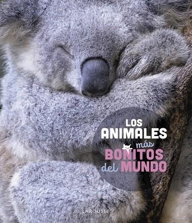 LOS ANIMALES MÁS BONITOS DEL MUNDO | 9788419436177 | LEDU, STÉPHANIE | Galatea Llibres | Llibreria online de Reus, Tarragona | Comprar llibres en català i castellà online