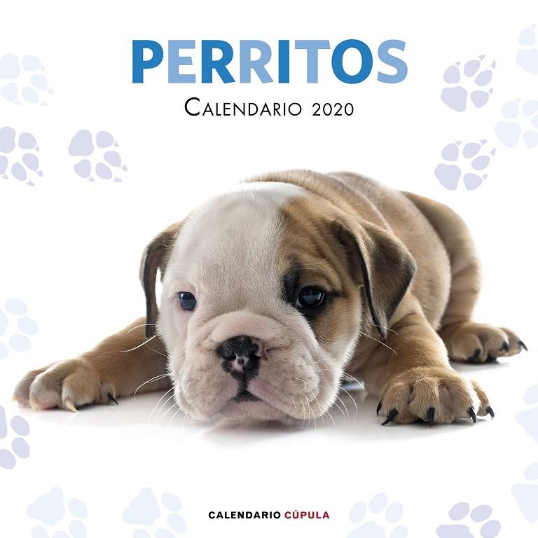 CALENDARIO PERRITOS 2020 | 9788448026158 | AA. VV. | Galatea Llibres | Llibreria online de Reus, Tarragona | Comprar llibres en català i castellà online