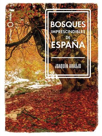 BOSQUES IMPRESCINDIBLES DE ESPAÑA | 9788408239529 | ARAÚJO, JOAQUÍN | Galatea Llibres | Llibreria online de Reus, Tarragona | Comprar llibres en català i castellà online