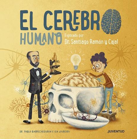 EL CEREBRO HUMANO | 9788426147110 | BARRECHEGUREN, PABLO | Galatea Llibres | Llibreria online de Reus, Tarragona | Comprar llibres en català i castellà online