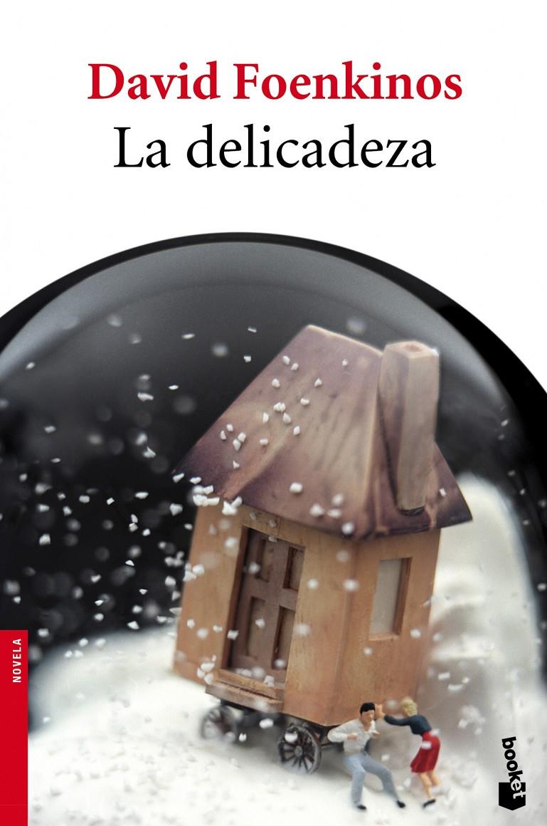 LA DELICADEZA | 9788432215896 | FOENKINOS, DAVID | Galatea Llibres | Llibreria online de Reus, Tarragona | Comprar llibres en català i castellà online