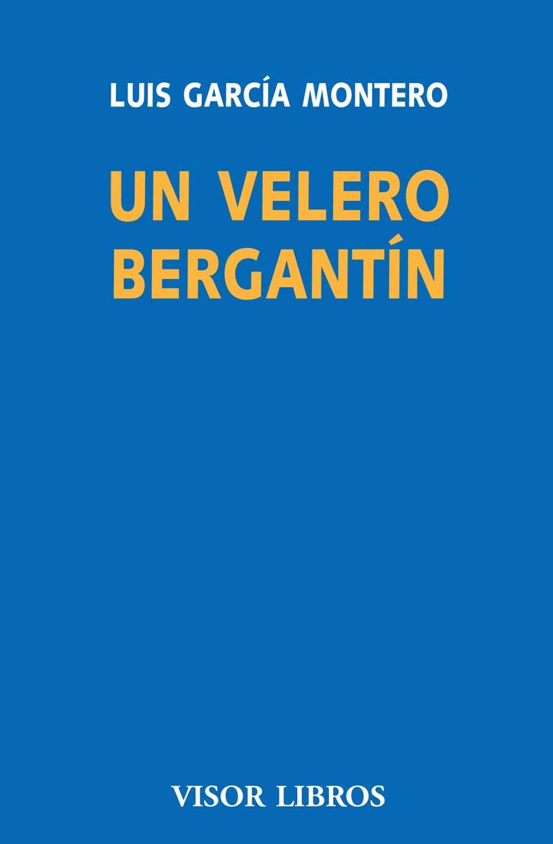 UN VELERO BERGANTIN. DEFENSA DE LA LITERATURA | 9788498956917 | GARCIA MONTERO, LUIS | Galatea Llibres | Llibreria online de Reus, Tarragona | Comprar llibres en català i castellà online
