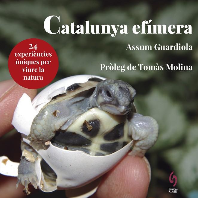 CATALUNYA EFÍMERA | 9788494928147 | GUARDIOLA, ASSUM | Galatea Llibres | Llibreria online de Reus, Tarragona | Comprar llibres en català i castellà online
