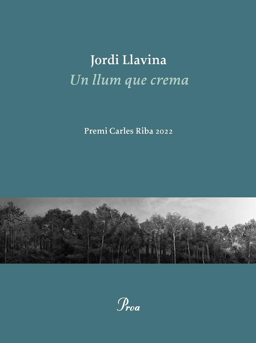 UN LLUM QUE CREMA | 9788475889979 | LLAVINA, JORDI | Galatea Llibres | Llibreria online de Reus, Tarragona | Comprar llibres en català i castellà online