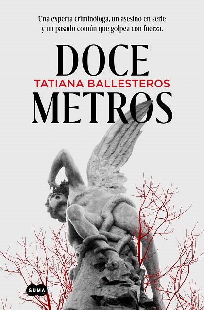 DOCE METROS | 9788491296485 | BALLESTEROS, TATIANA | Galatea Llibres | Llibreria online de Reus, Tarragona | Comprar llibres en català i castellà online