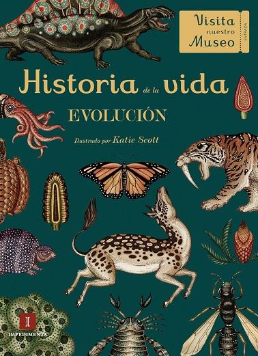 HISTORIA DE LA VIDA. EVOLUCION | 9788417115425 | Galatea Llibres | Llibreria online de Reus, Tarragona | Comprar llibres en català i castellà online