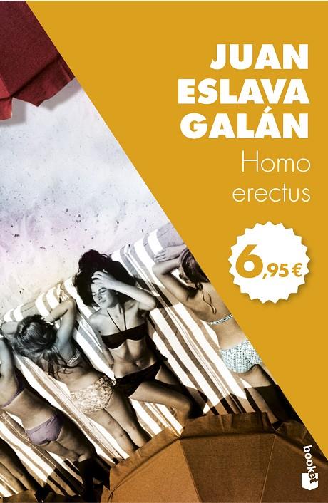 HOMO ERECTUS | 9788408166405 | ESLAVA GALAN, JUAN | Galatea Llibres | Llibreria online de Reus, Tarragona | Comprar llibres en català i castellà online