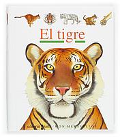 TIGRE, EL | 9788466106184 | GALLIMARD JEUNESSE, ÉDITIONS | Galatea Llibres | Llibreria online de Reus, Tarragona | Comprar llibres en català i castellà online