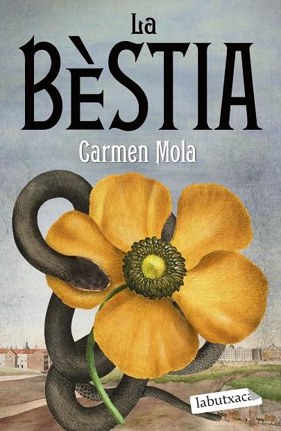 LA BÈSTIA | 9788419107862 | MOLA, CARMEN | Galatea Llibres | Llibreria online de Reus, Tarragona | Comprar llibres en català i castellà online