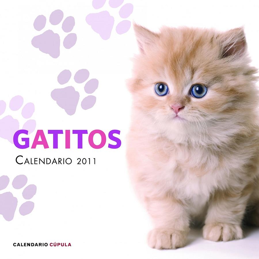 CALENDARIO GATITOS 2011 | 9788448068240 | AA. VV. | Galatea Llibres | Llibreria online de Reus, Tarragona | Comprar llibres en català i castellà online