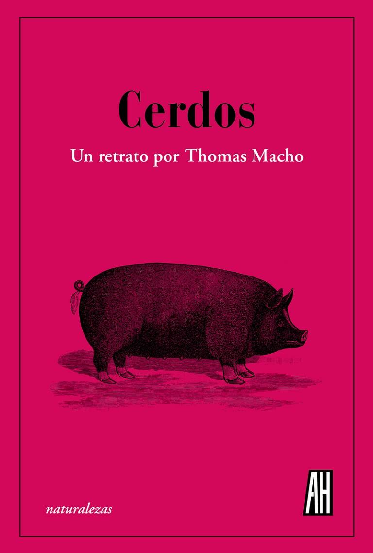 CERDOS | 9788412403398 | MACHO, THOMAS | Galatea Llibres | Llibreria online de Reus, Tarragona | Comprar llibres en català i castellà online