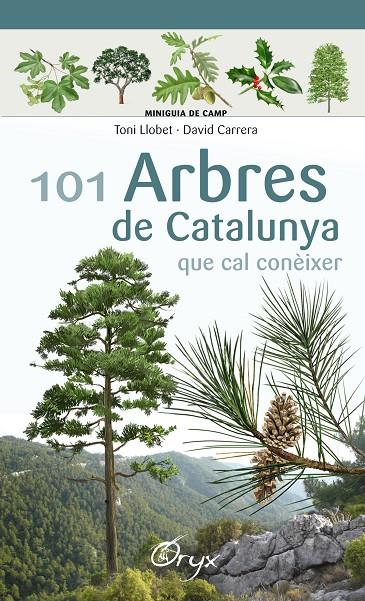 101 ARBRES DE CATALUNYA QUE CAL CONÈIXER (MINIGUIES DE CAMP) | 9788490346778 | LLOBET FRANçOIS, TONI/CARRERA BONET, DAVID | Galatea Llibres | Llibreria online de Reus, Tarragona | Comprar llibres en català i castellà online