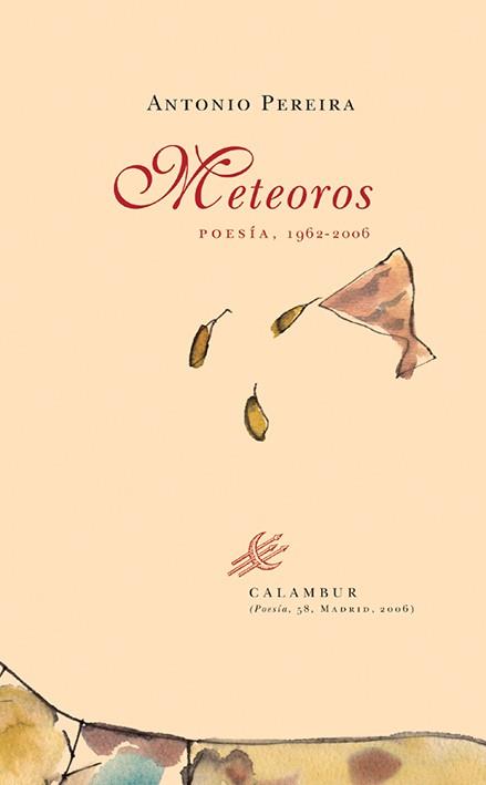 METEOROS | 9788496049871 | PEREIRA, ANTONIO | Galatea Llibres | Llibreria online de Reus, Tarragona | Comprar llibres en català i castellà online