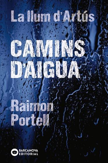 CAMINS D'AIGUA | 9788448942144 | PORTELL, RAIMON | Galatea Llibres | Llibreria online de Reus, Tarragona | Comprar llibres en català i castellà online